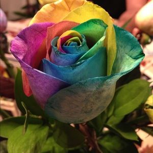 Meet your Posher, Elaine